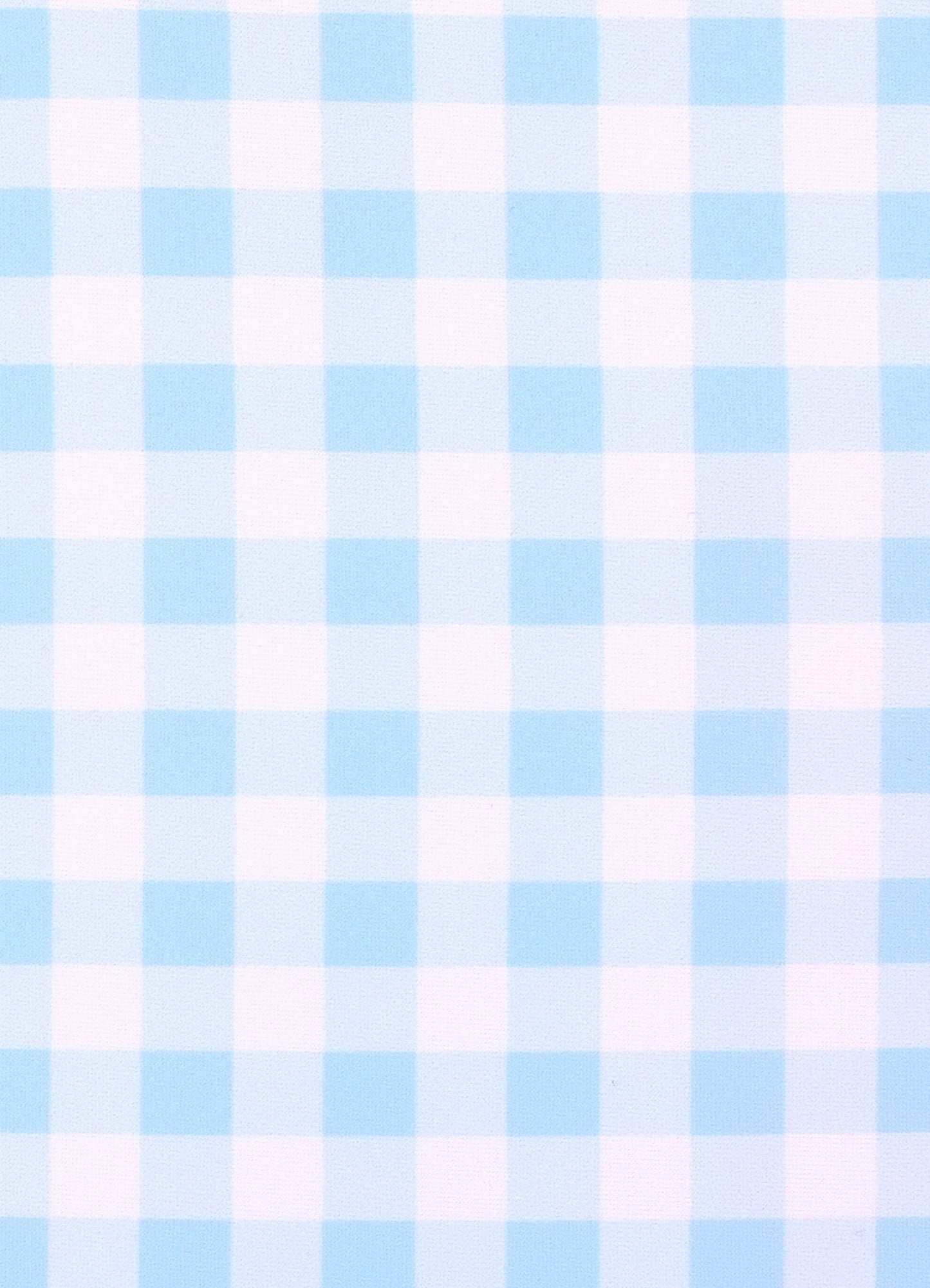  Gingham Rashie Set - Placid Blue